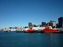 New_Zealand (258)